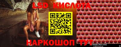 MDMA Гатчина