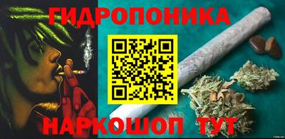 MDMA Гатчина