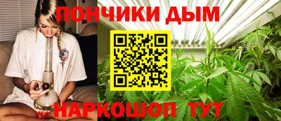 apvp Гагарин