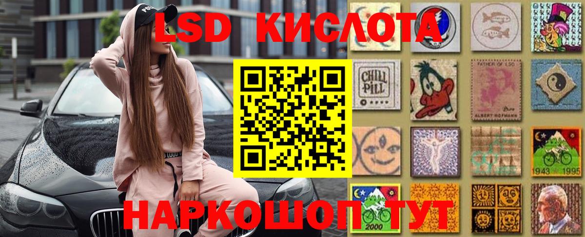 Псилоцибиновые грибы Ревда