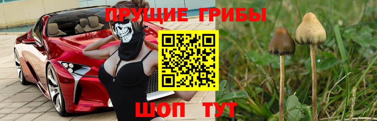купить закладку  Псилоцибиновые грибы мухоморы  Вход с VPN  Ревда 